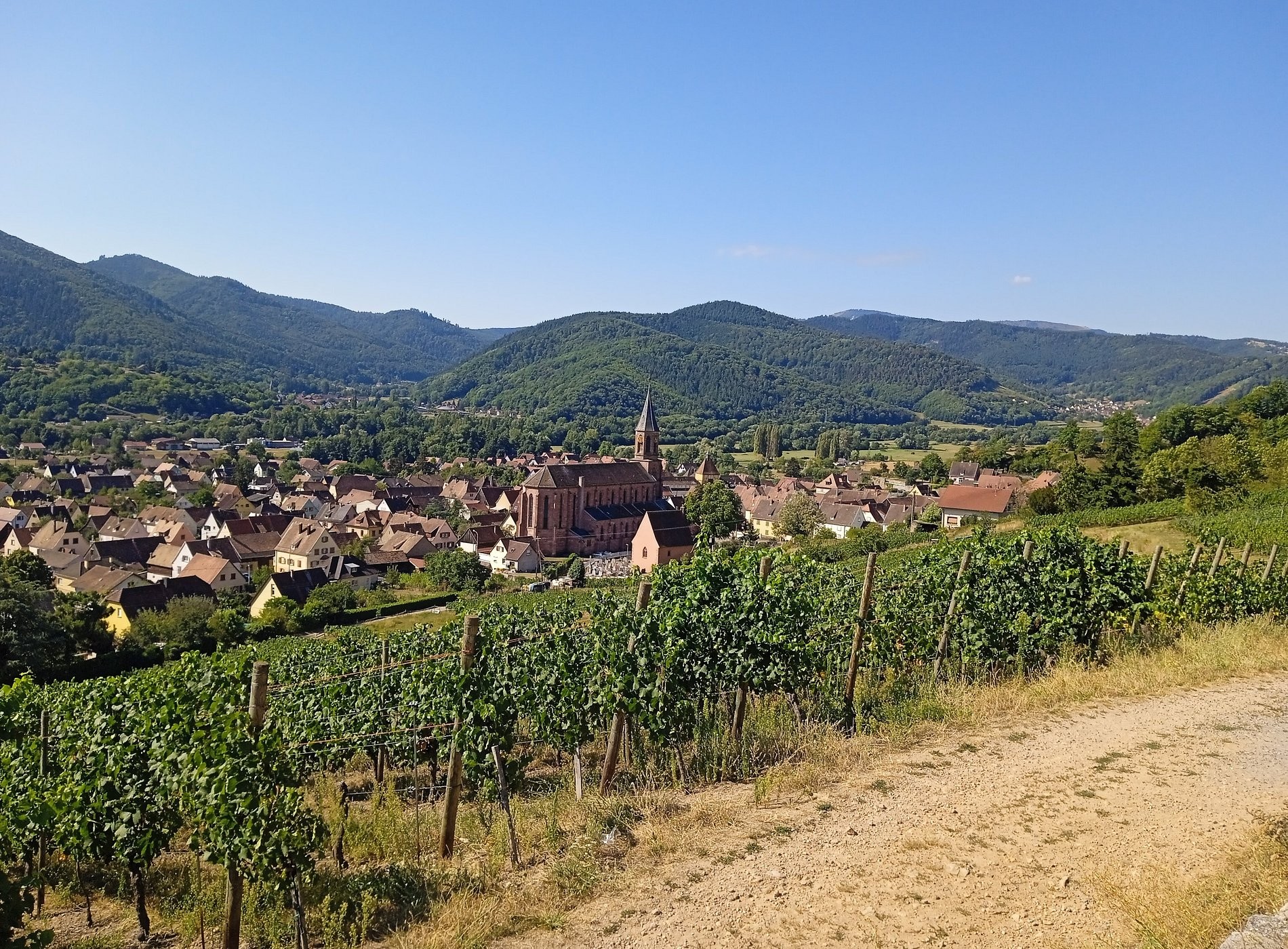 Camping La Route Verte **, Camping à Wihr-au-Val