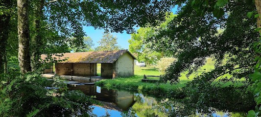 Camping De La Noue, Camping à Neuvy-sur-Barangeon