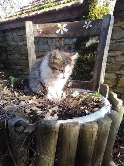 Camping De La Ferme Du Soulié, Camping à Villeneuve