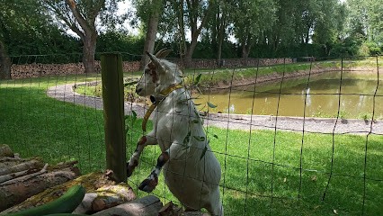 Camping La Cense Bleue, Camping à Buysscheure