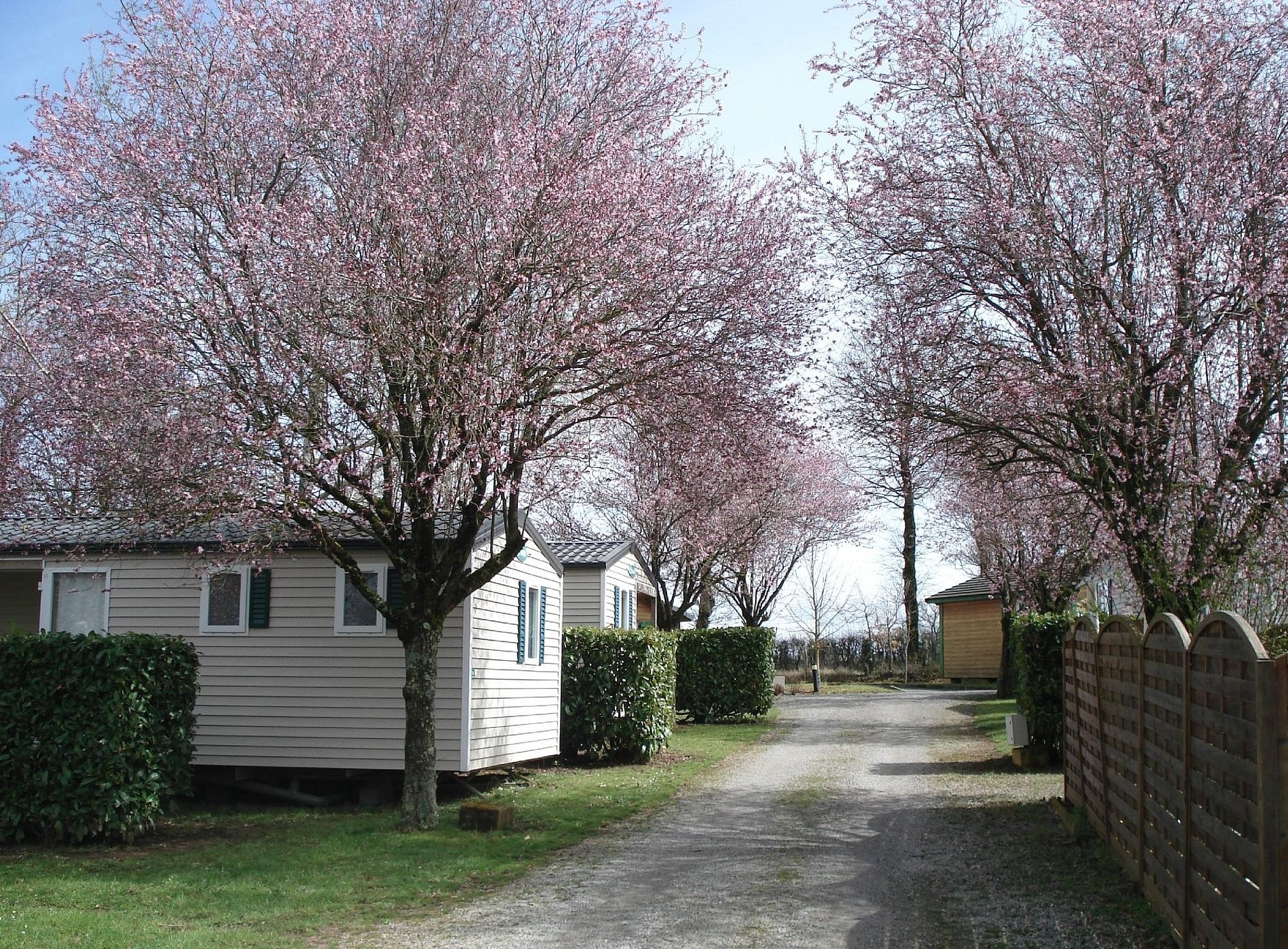 Camping Le Lac de Bonnefon, Camping à Naucelle