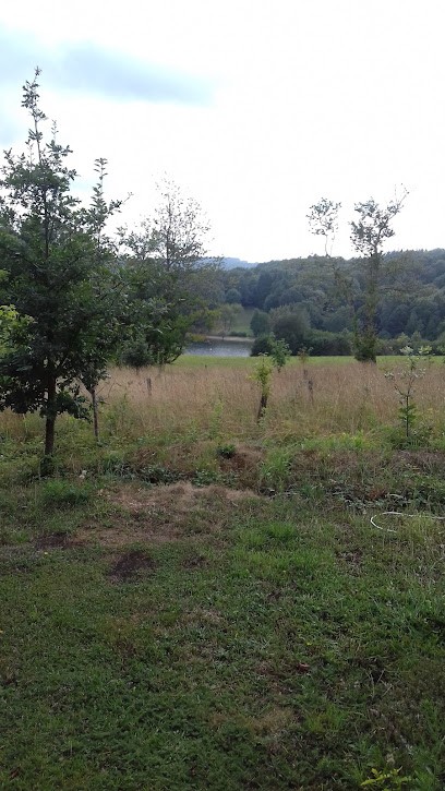 Bonjour Alain, Camping à La Salvetat-sur-Agout