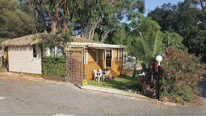 Camping Pabourette, Camping à La Londe-les-Maures