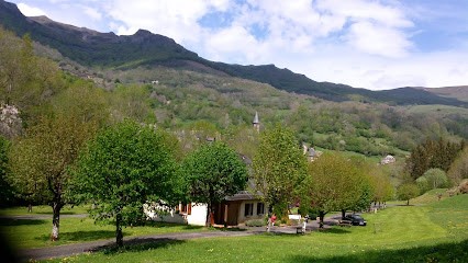 Camping Et Gîte D'étape, Le Falgoux, Camping au Falgoux
