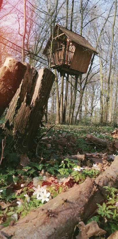Terrains d'Aventure Hébergement Insolite, Camping à Ailly-sur-Noye
