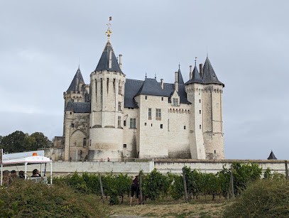 Camping Saumur, Camping à Varennes-sur-Loire