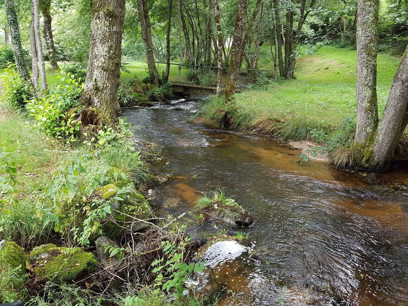 Camping Municipal, Camping à Nedde